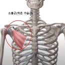 제이핏 PT 이미지