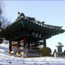 오대남 충신각 이미지