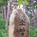 영덕세무서 | 30. 외씨버선길 제2구간 소현공원-신기리 느티나무 11.5km