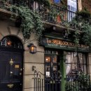 221B 이미지