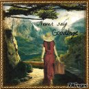 Dorina Santers - Goodbye My Love Goodbye 이미지