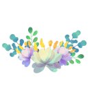 솔레트 이미지