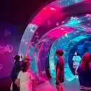 경희대 활기찬 태권도장 이미지