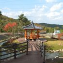 운제산산림욕장 이미지