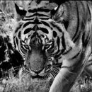 융한의원 이미지