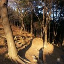 늘봄추어탕 이미지