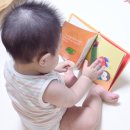 생각이 자라나는 그림책놀이 | 돌전아기 그림책 추천, 추피의 생활이야기로 시작하는 책육아 한 달 후기, 추피지옥 입성