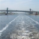호:아라 이미지