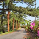 돈탁마을입구 이미지