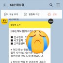 100프로카센타 이미지
