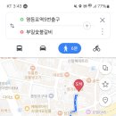 미친갈비 - 목포시 | 미친갈비