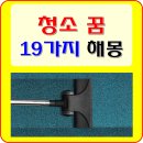 꿈청소 이미지