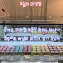 일리아나(Iliana) 네이버블로그