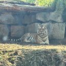 전주동물원 이미지