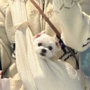 규민약국 | 바람은 왱왱 ⋆˚ʚɞ
