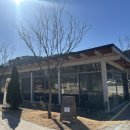 문화애견 | 철도문화공원 카페메텔 | 진주 애견동반 카페 내돈내산 후기