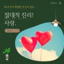 진리의 비상 이미지