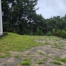 내포원공인중개사사무소 이미지