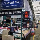 마이장 | 포항죽도시장 회포장 가성비 좋은 어촌마을이장 횟집 초밥 모듬회 추천