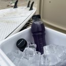 프리에이드 이미지