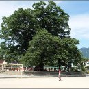 한재초등학교 이미지