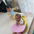 꼬꼬놀이터 이미지