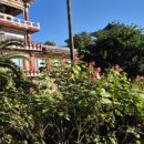 대포동호스텔 이미지