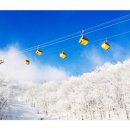 휘닉스파크 이미지