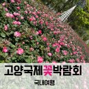 2025고양국제꽃박람회 꿀팁 관람순서 주차정보 티니핑 (25.04.26 후기)