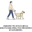 국보슈퍼