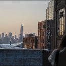 달강아지 이미지