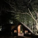 글로리야 | [제주도] 글로리야 B동: 제주도 동쪽 감성숙소 추천 / 에어비앤비 및 문자 예약 방법 / 숙박 후기