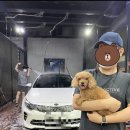 동백워시존 이미지