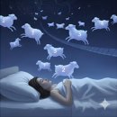 대상약품 | 일양약품 멜라톤 알파 식물성 멜라토닌 2mg 불면증 수면 영양제 내돈내산 후기