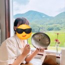 칠곡면신포숲 | 7월 주간일기 챌린지🐽