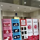 세이프애니펫 이미지