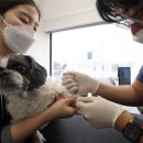 브라운동물병원 이미지