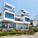 팜풀빌라 이미지