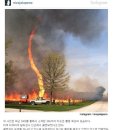 (주) 회오리