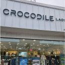 크로커다일 레이디 행복한 장기