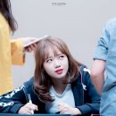 귀엽댕 이미지