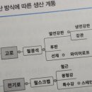 피제이유통 이미지