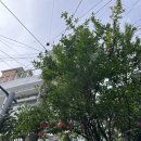 문쉐프의 고기국수 이미지