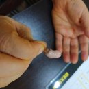 독일렉스톤보청기 의정부점 이미지