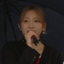 5/10 포천 한탄강 봄 가든 페스타 (🐾꽃의 축제🍯) 이미지