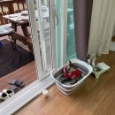 고성2119 | 제주도 애견동반숙소 - 고성2119펜션 어땠어요?