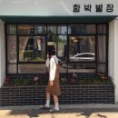 교동게하
