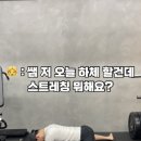 바오핏가락문정 이미지