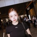 프리지아 이미지