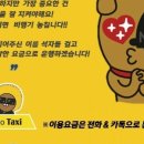 황금카써비스 이미지